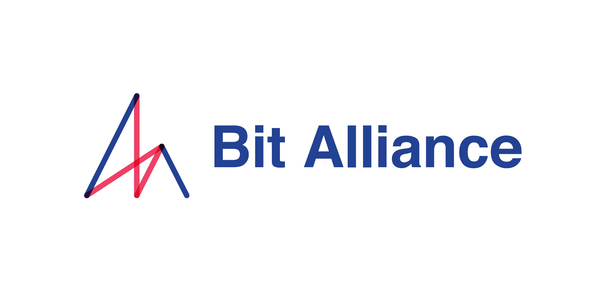 Bit Alliance